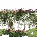 Lush Green Vines Adorned With Pink Flowers On Support Structure Over Grass 3d model