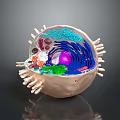 Detailed 3D Cell Organelles Structure With Internal Components And Surface Projections