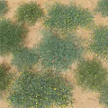 Green Desert Plants With Yellow Flowers Covering Sandy Ground