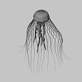Glowing Blue Bioluminescent Jellyfish With Long Tentacles On Dark Background