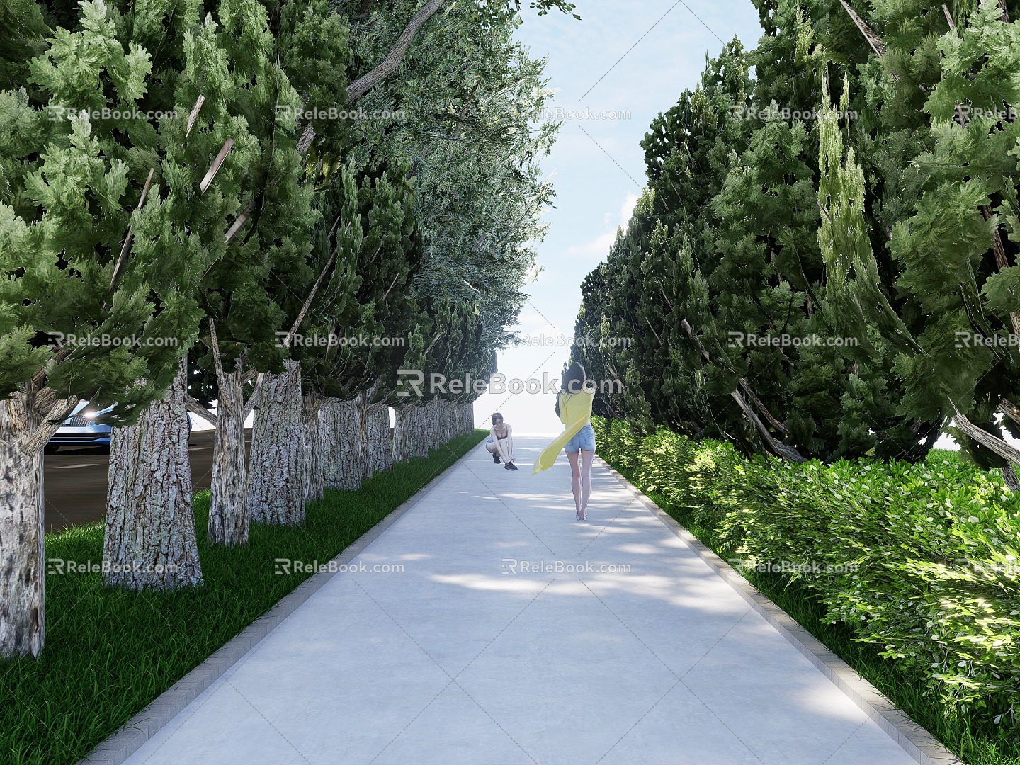 Tree-Shaded Path Greening Cypress Plants Planting Street Trees model