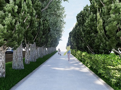 Tree-Shaded Path Greening Cypress Plants Planting Street Trees model