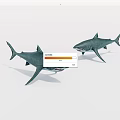 Two Large Grey Sharks With Open Mouths Swimming In Ocean Water