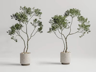 Two Bonsai Potted Plants With Curved Trunks Green Leaves And Gray Pots 3d model