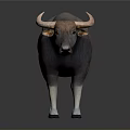 Realistic Buffalo With Curved Horns Dark Gray Light Brown Body White Legs On Gray Background