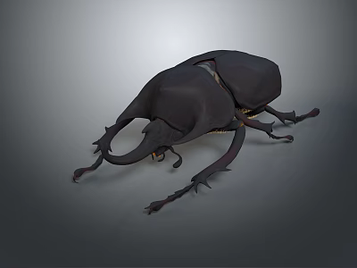 Dark Colored Beetle With Large Horn Like Structures And Chitinous Body On Gray Background 3d model