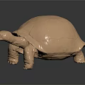 Decorative Ornament Set Featuring Golden Tortoise Figure With Shiny Surface For Home Decor