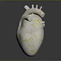 Medical Device 3D Anatomical Heart Model With White And Gold Texture And Structural Details