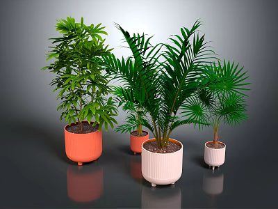 Indoor Green Plants In Colorful Pots With Lush Leaves And Different Varieties 3d model