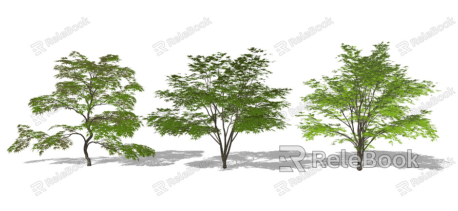 Modern Tree Landscape Shrub Residential Area Landscape Tree model