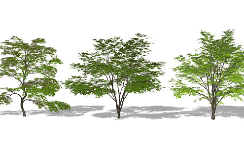 Modern Tree Landscape Shrub Residential Area Landscape Tree 3d model