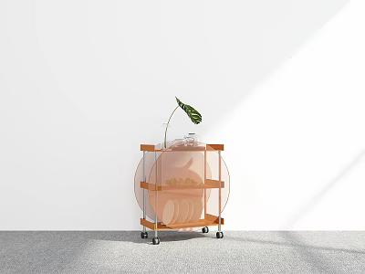 Mobile Wooden Shelf with Transparent Acrylic Panels Wheels and Green Plant on Top 3d model