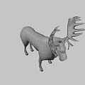 Realistic Moose With Large Antlers Brown Body Standing On Light Background