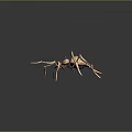 3D Spider Model With Textured Body Long Slender Legs And Red Lines On Dark Background