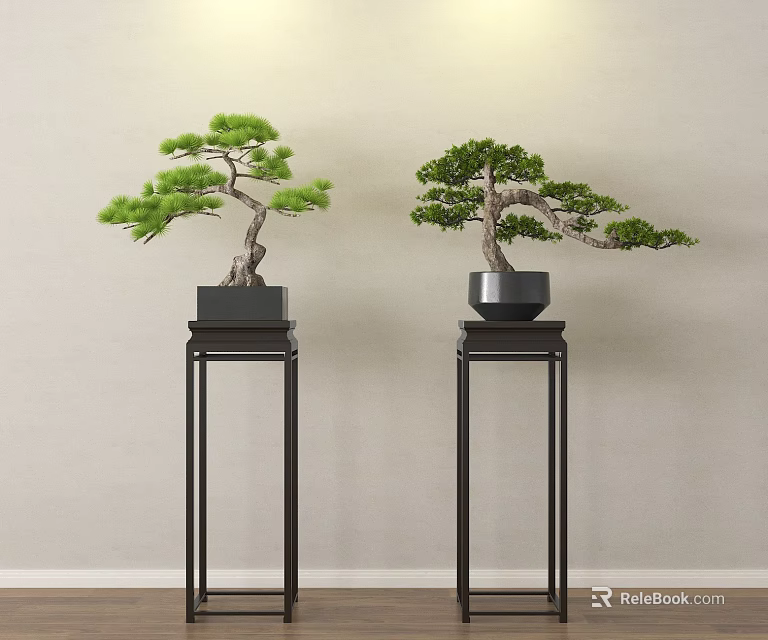 Elegant Bonsai Trees on Black Stands Against Light Colored Wall with Wooden Floor 3d model 