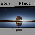Sony Minotli Television Showing Natural Scenery With Tree And Starry Sky Reflection