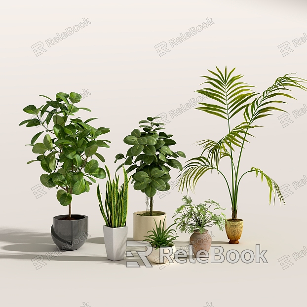 Green plant potted plant ornaments combination model