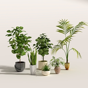 Green plant potted plant ornaments combination 3d model