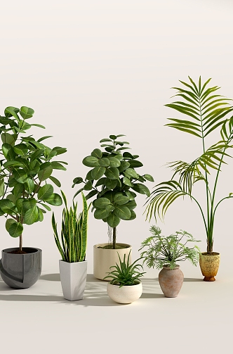 Green plant potted plant ornaments combination 3d model