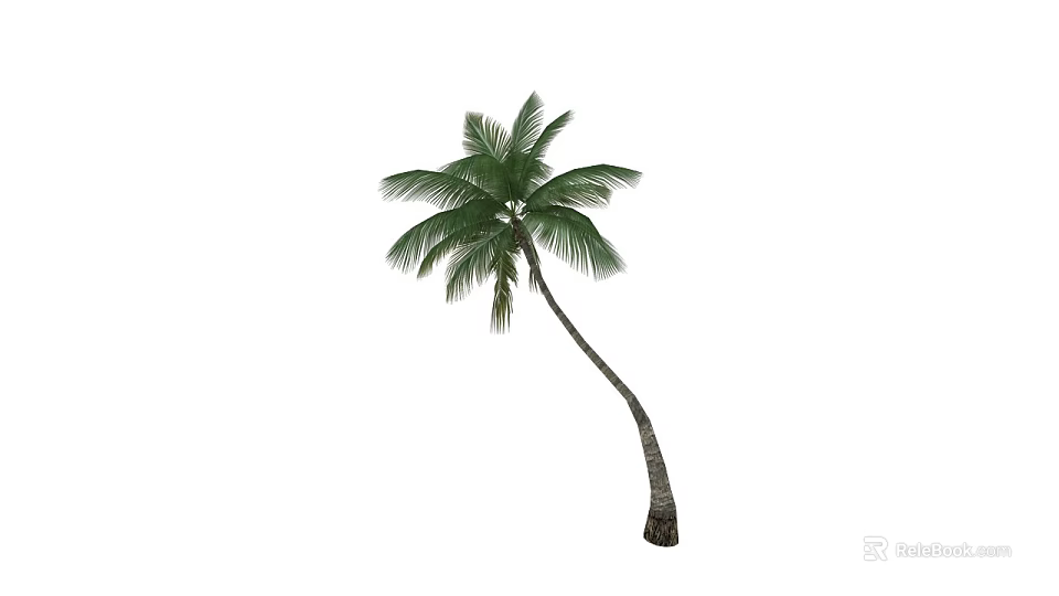 Tropical Palm Tree With Curved Trunk And Lush Green Fronds 3d model 