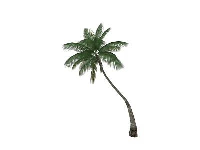 Tropical Palm Tree With Curved Trunk And Lush Green Fronds 3d model