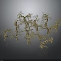 Multiple Dry Tree Models With Intricate Branch Structures And Natural Shapes