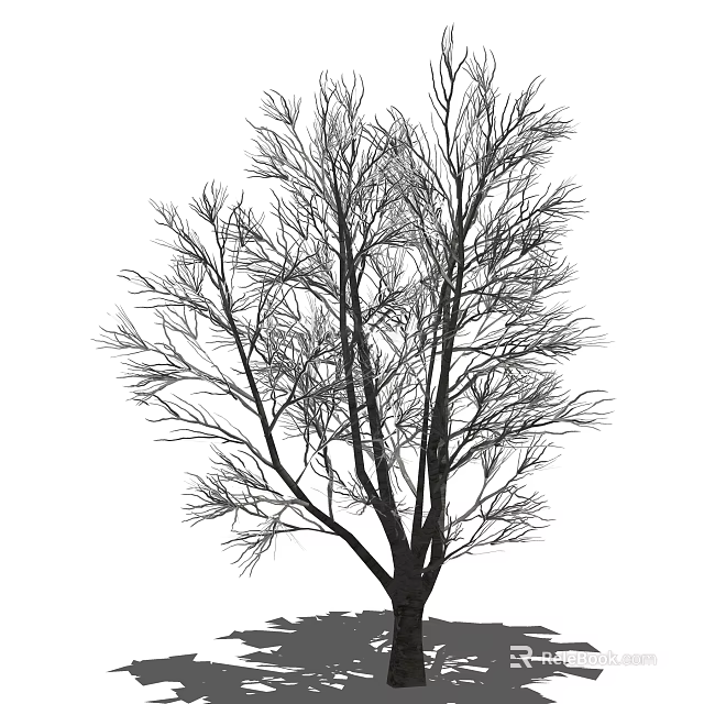 Tall Deciduous Tree With Bare Branches And Thick Trunk Structure 3d model 