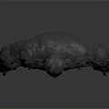 Giant Furry Creature 3D Model Standing Pose Character Design With Detailed Texture