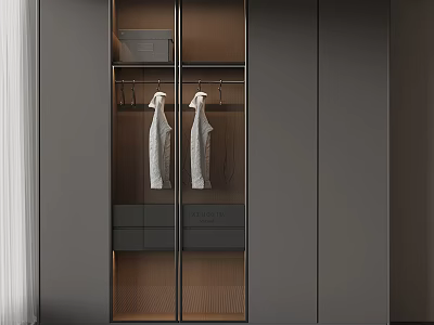 Modern Wardrobe With Glass Doors And Hanging Storage Interior Design 3d model