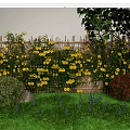 Decorative Garden Wall With Wooden Fence Covered In Yellow Flowers And Green Plants