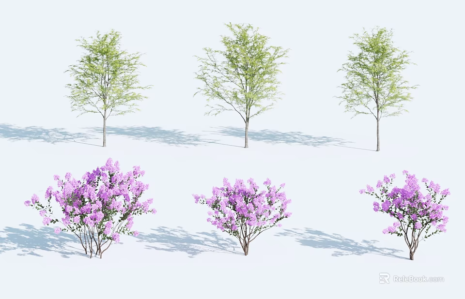 Fresh Green Leaves And Purple Flowering Trees With Lush Foliage And Bright Blooms 3d model 