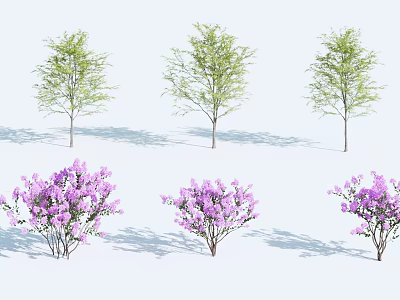 Fresh Green Leaves And Purple Flowering Trees With Lush Foliage And Bright Blooms 3d model