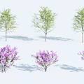 Fresh Green Leaves And Purple Flowering Trees With Lush Foliage And Bright Blooms