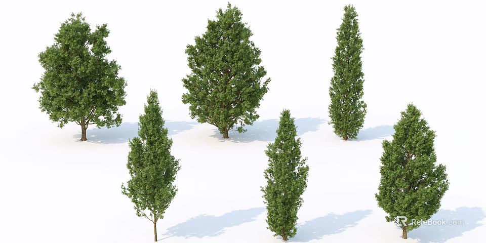 Various Arbor Trees With Different Crown Shapes And Lush Green Foliage For Landscaping Design 3d model 