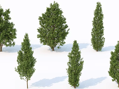 Various Arbor Trees With Different Crown Shapes And Lush Green Foliage For Landscaping Design 3d model