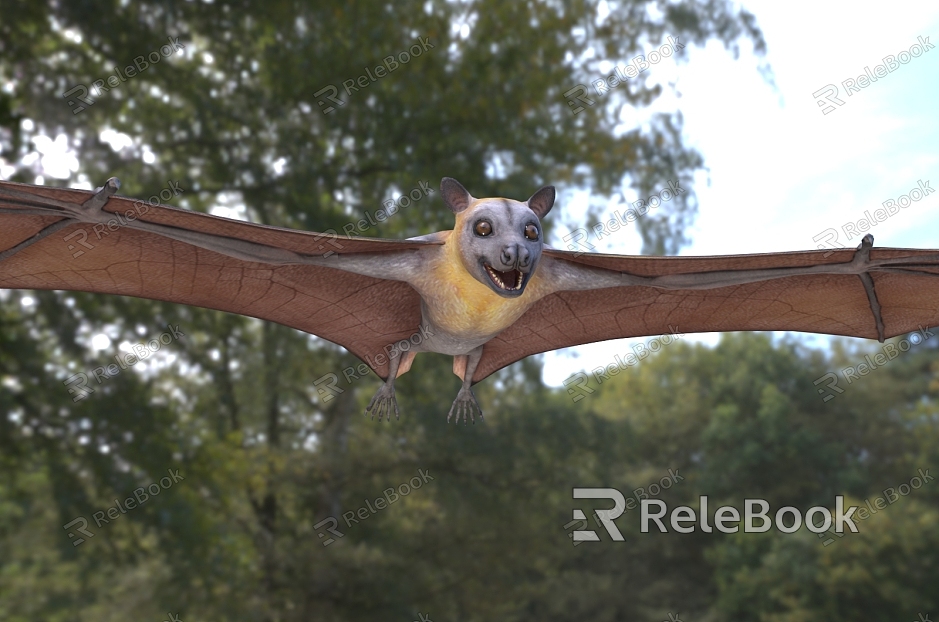 Grey-headed flying fox bat animal model