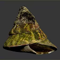 Aquatic Animal Shell Featuring Yellow Green Brown Patterns And Black Encrustations 3d model