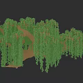 Willow Tree With Hanging Branches And Lush Green Leaves In Natural 3D Rendering