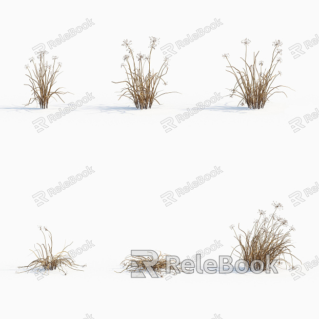 modern grass wild onion weeds plants model