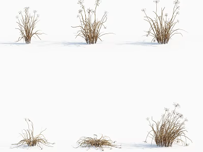 Dried Winter Herbs On Snowy Ground With Various Natural Growth Shapes 3d model