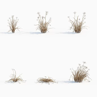 Dried Winter Herbs On Snowy Ground With Various Natural Growth Shapes 3d model