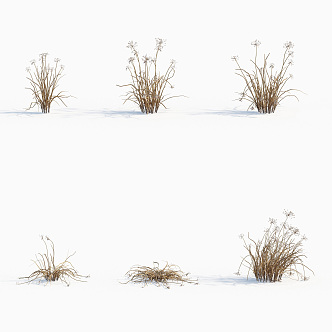 modern grass wild onion weeds plants 3d model