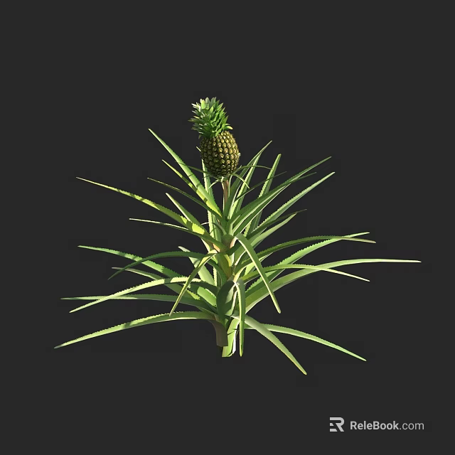 Vibrant Healthy Pineapple Plant With Green Leaves And Ripe Fruit 3d model 