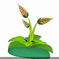 Vibrant 3D Rendered Flower Plant With Green Leaves Yellow Buds Stems On Green Base