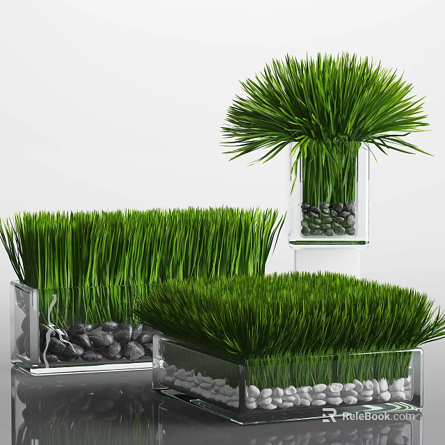Bonsai Potted Plants With Green Grass Like Foliage In Transparent Containers And Small Stones 3d model 