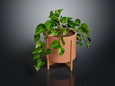 Decorative Indoor Green Plant with White Spotted Leaves in Pink Pot on Wooden Stand 3d model