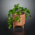 Decorative Indoor Green Plant with White Spotted Leaves in Pink Pot on Wooden Stand
