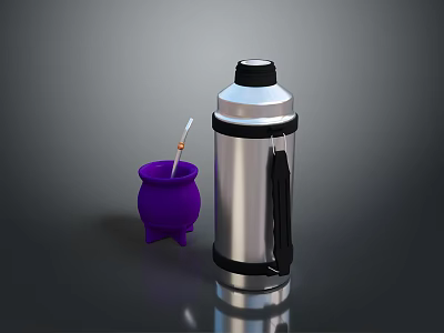 Stainless Steel Thermos Flask and Purple Cup with Straw for Daily Use 3d model