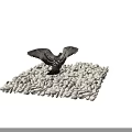 Flying Animal Pigeon Spreading Wings Standing on White Pebbles Surface