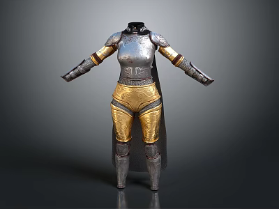 Silver And Gold Warrior Armor With Chest Plate Arm Guards Leg Armor And Cape 3d model